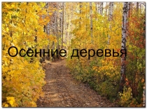 Осенние деревья