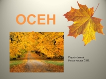 Презентация по познавательному развитию на тему Осень в гости к нам пришла!