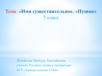 Презентация по русскому языкуСуществительное .Пушок