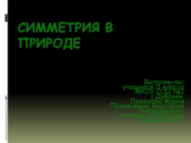 Презентация по геометрии на тему Симметрия в природе