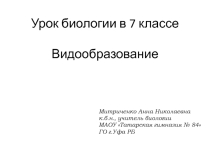 Презентация по биологии на тему Видообразование (7 класс)