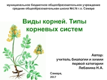 ВИДЫ КОРНЕЙ. ТИПЫ КОРНЕВЫХ СИСТЕМ