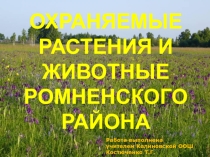 Охраняемые растения и животные Ромненского района