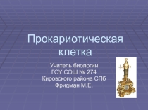 Презентация по биологии на тему Прокариоты 7 класс
