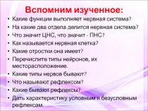 Урок биологии в 8 классе на тему Спинной мозг