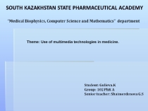 по предмету информатика Use of multimedia technologies in medicine