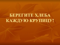 Презентация к классному часу Берегите хлеба каждую частицу!