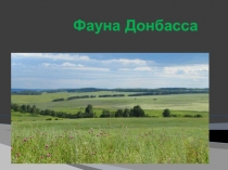 Презентация по биологии Флора Донбасса