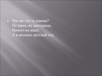 Презентация Размножение голосеменных растений