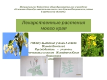 Презентация Лекарственные растения моего края