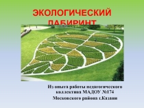 Презентация Экологический лабиринт из-за опыта работы