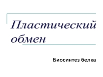 Биосинтез белка