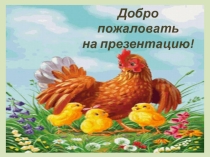 Презентация мини-музея Курочки Рябы