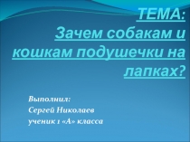 Презентация Зачем собакам и кошкам подушечки на лапах