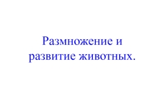 Презентация по окружающему миру на тему Размножение и развитие животных(3 класс)