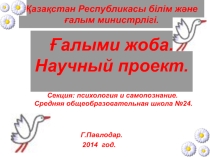 Презентация. Авторский проект. Коллектив.Каким он должен быть.