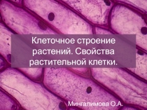 Презентация по биологии на тему Клеточное строение растений. Свойства растительной клетки.