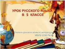 Презентация по русскому языку на тему  Разряды имен прилагательных (5класс)