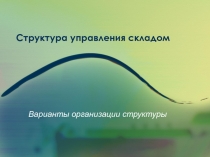 Структура управления складом