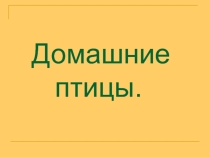 Презентация для начальной школы Домашние птицы