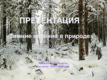 Зимние явления в природе(для детей старшей группы в ДОУ)