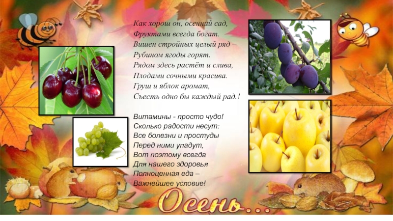 Презентация по аппликации по теме: Фрукты Как хорош он, осенний сад, Фруктами всегда богат. Вишен стройных целый Как хорош он, осенний сад, Фруктами всегда богат. Вишен стройных целый ряд – Рубином ягоды