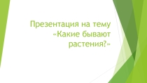 Какие бывают растения?