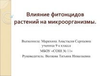 Влияние фитонцидов растений на микроорганизмы