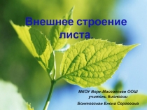 Презентация по биологии на тему: