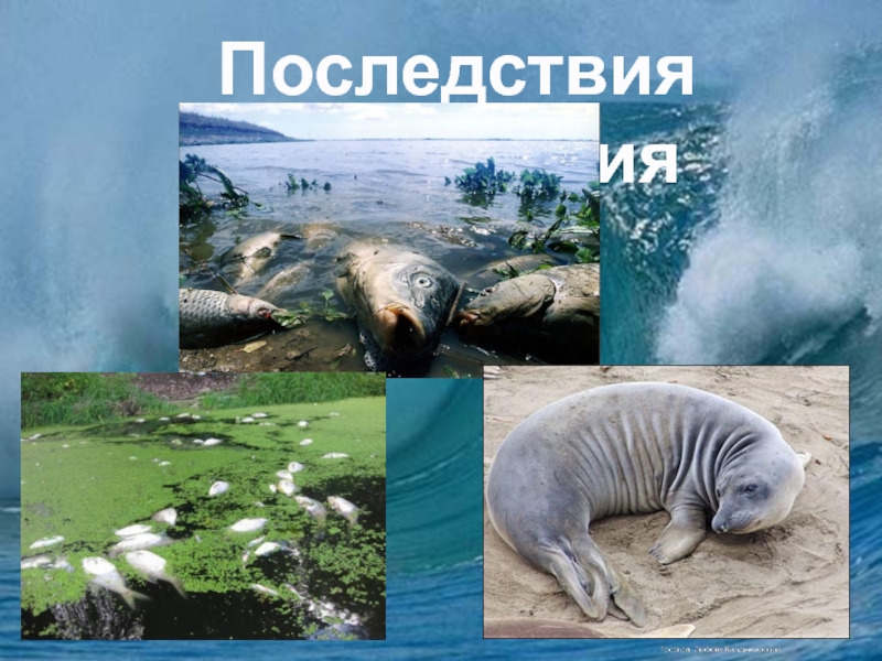 Презентация по окружающему миру Источники загрязнения и их последствия Последствия загрязнения Последствия загрязнения
