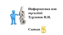 Paint графикалық редактордың құралдары.