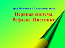 Презентация урока по биологии Нервная система. Рефлекс. Инстинкт