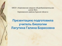 Презентация по биологии на тему Плесневые грибы и дрожжи (5-6 класс)