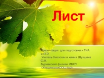 Презентация по биологии. Тема Лист ( 6 класс)
