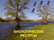Презентация по географии на тему биологические ресурсы