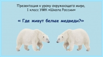 Презентация + конспект урока по окружающему миру на тему Где живут белые медведи? (1 класс Школа России)