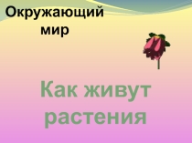 Презентация по окружающему миру на тему Как живут растения? (1 класс, А. А. Плешаков)