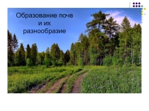 Презентация по окружающему миру