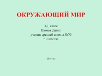 Презентация к теме Царство животных. Волшебный мир пчёл.