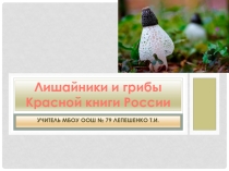 Презентация по внеурочной деятельности Лишайники и грибы красной книги