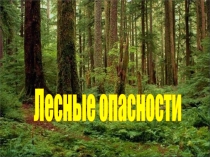 Презентация по окружающему миру Лесные опасности