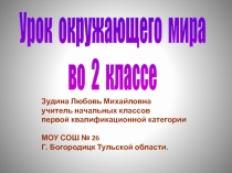 Презентация по окружающему миру на тему Дикие идомашние животные (2класс)