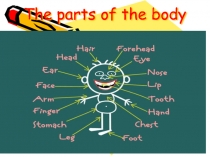 Мини-презентация по английскому языку на тему The parts of the body