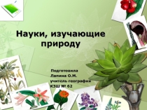 Презентация по природоведению на тему Науки, изучающие природу( 5 класс)