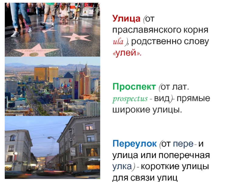Презентация к проекту Улицы вокруг нас. Улица (от праславянского корня ula ), родственно слову «улей». Проспект (от Улица (от праславянского корня ula ), родственно слову «улей». Проспект (от лат. prospectus - вид)- прямые широкие