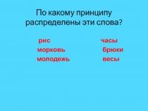 Презентация по языку в 5 классе