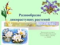 Презентация по окружающему миру на тему: Разнообразие дикорастущих растений (1-2 класс)