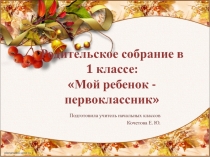 Мой ребенок - первоклассник. Собрание в 1 четверти