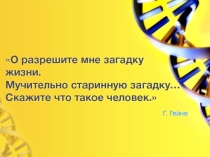 Наследственные заболевания человека