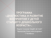 Диагностика и развитие восприятия у детей старшего дошкольного возраста.